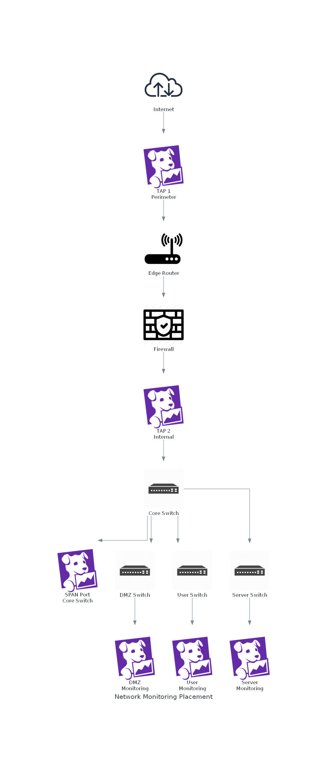 Strategic Network Monitoring Placement